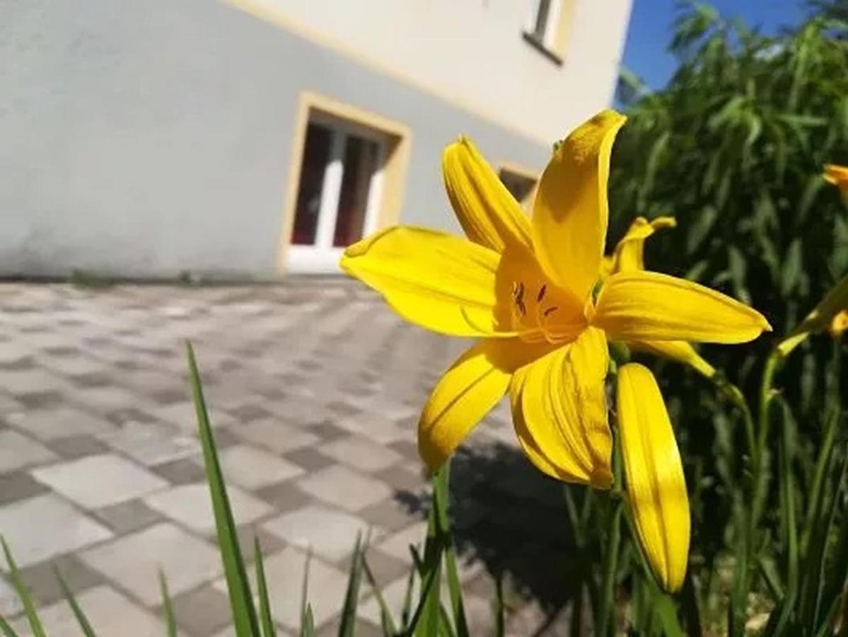 Haus Am Apfelbaum Apartment Bad Säckingen Екстериор снимка
